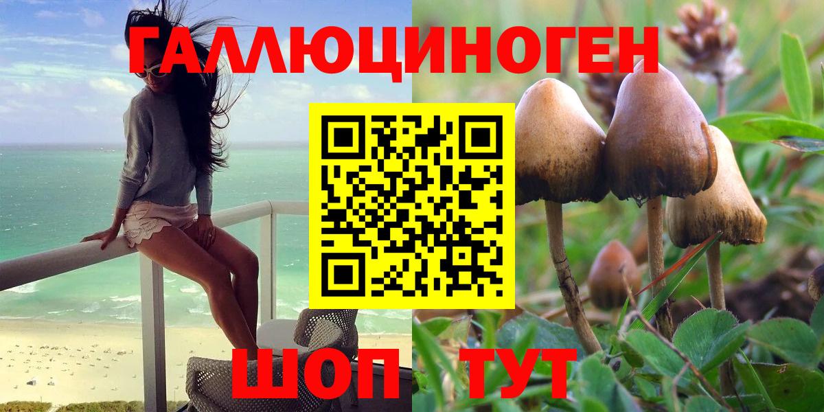 Ростов-на-Дону  Галлюциногенные грибы GOLDEN TEACHER  Вход с VPN 